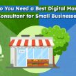 Why Do You Need a Best Digital Marketing Consultant for Small Businesses